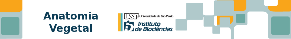 Anatomia Vegetal